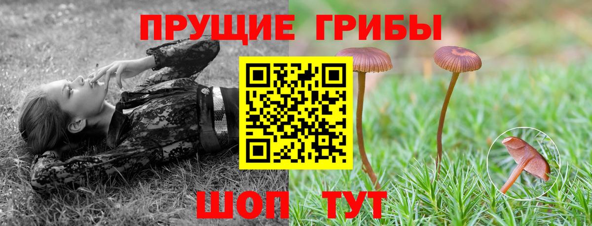 Псилоцибиновые грибы Psilocybe  Вход с VPN  Галлюциногенные грибы ЛСД  Нижнеудинск 
